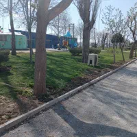 گمشده