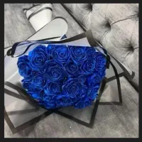 گل جاودانه|گل مصنوعی|دورود, |دیوار