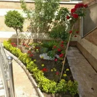 کلیه خدمات باغبانی در تهران و حومه|خدمات باغبانی و درختکاری|تهران, شهرک غرب|دیوار