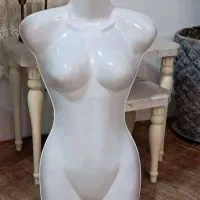 مانکن نیم تنه ورگال دیواری