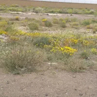 فروش-زمین-اسحاق-آباد