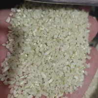 نیمدانه معطر|خوردنی و آشامیدنی|قم, شاه ابراهیم|دیوار