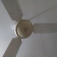 پنکه المانی