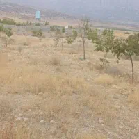 زمین باغی روستای دشت ارژن|فروش زمین و ملک کلنگی|شیراز, گلدشت معالی‌آباد|دیوار