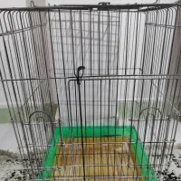 قفس نو پرنده بزرگ