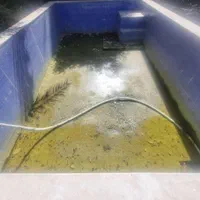 خدمات کفسابی کفساب کف سابی کاشی ساب بتن ساب|خدمات نظافت|آبادان, |دیوار