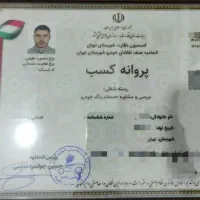 کارشناس خودرورتبه اول تشخیصuvرنگ سیارفنی موتوربدنه