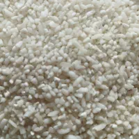 کار در منزل خانم ها