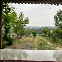 اسکان رایگان