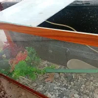 آکواریوم طول 100 ارتفاع 50 با لوازم کامل