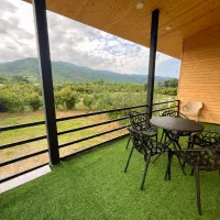 ویلا سوئیسی مدرن دوخواب|اجارهٔ کوتاهمدت ویلا و باغ|شاندرمن, |دیوار