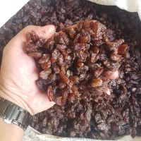 کشمش آفتابی گله