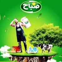 شرکت پخش صباح