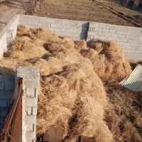 یونجه|حیوانات مزرعه|تبریز, |دیوار