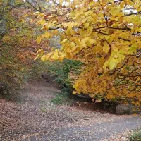 سفر شمال آخر هفته