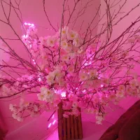 گل مصنوعی طرح شکوفه ژاپنی