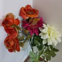 گل شاخه بلند