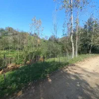 ۱۴۰۰متر چلک لاهیجان یاس ۱۱ قابل معاوضه با واحد|فروش زمین و ملک کلنگی|لاهیجان, شیشه گران|دیوار