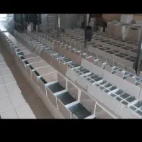 کابینت پیش ساخته نو|مصالح و تجهیزات ساختمان|بهبهان, |دیوار