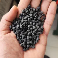 نخود سیاه برای بذر و لپه