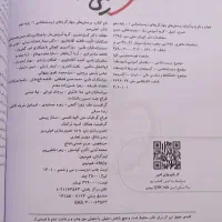 زیست خیلی سبز دهم و یازدهم|کتاب و مجله آموزشی|شیراز, آزادگان|دیوار