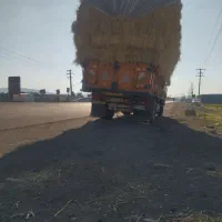 خرید فروش یونجه و کلش