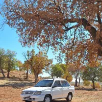 دربستی سرویس