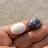 دوتا لامه داوودی کهنه|جواهرات|چهاردانگه (تهران), |دیوار