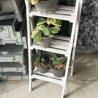 گل خاص و زیبا