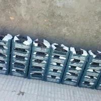 فروش انگو