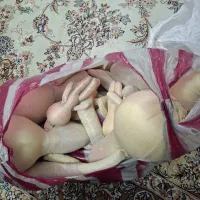 بدن خام عروسک روسی