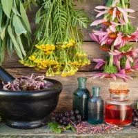 دورهمی علاقه مندان به طب سنتی وسبک زندگی سالم