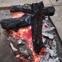 ذغال کبابی|عمده‌فروشی|دورود, |دیوار