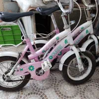 دوچرخه 12 دو عدد