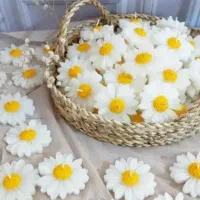 تولیدی شمع گل بابونه