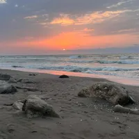 اموزش زبان کودکان وبزرگسالان در شهرک دریاکنار