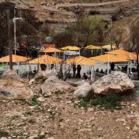 پیاده روی