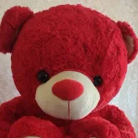 عروسک تدی سایز بزرگ