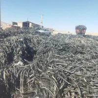 خرید و فروش نوار تیپ نوار قطره ای