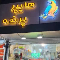 هایپر پرنده