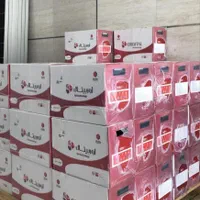 باطری (باتری) آسانسور درب برقی دزدگیر یو پی اس