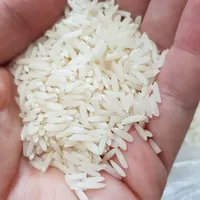 برنج درشت و برنج نیمدانه طارم اعلا و درجه یک|خوردنی و آشامیدنی|رشت, چله خانه|دیوار