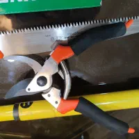 لوازم باغبانی و هرس گل گیاه قیچی شاخه زن اره|گل و گیاه طبیعی|اصفهان, خواجه عمید|دیوار