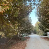 زمین سنددار.تهراندشت.کردان.سعیداباد|فروش زمین و ملک کلنگی|کرج, فاز ۱ مهرشهر|دیوار