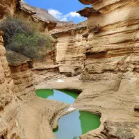 گشت جزیره قشم با راننده بومی.|تور و چارتر|درگهان, |دیوار