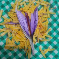 زعفران تازه باگل اعلا درجه یک..محصول شهریار|خوردنی و آشامیدنی|رباطکریم, کیکاور|دیوار