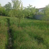 فروش زمین ۱۰۰ متری در شهرک صنعتی|فروش زمین و ملک کلنگی|رشت, شهرک صنعتی|دیوار