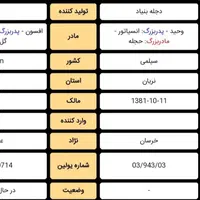 اسب نژاد دار ارزش دار|اسب و تجهیزات اسب‌سواری|تهران, شهران شمالی|دیوار