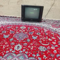 تلویزیون|تلویزیون و پروژکتور|آباده, |دیوار