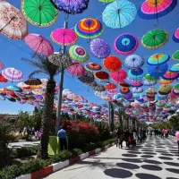 سفر هوایی به کیش با قیمت استثنایی